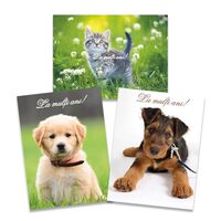 Felicitari Animale Pets