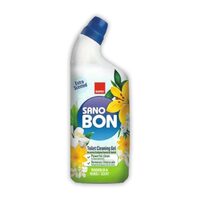 Detergenti pentru WC