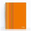 Caiet A4 100 file spira Arc Notte dictando