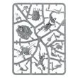 Age of Sigmar: Warriors (80-15)