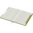  Agendă Decupaj B5 Verde Alicante 80440 
