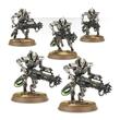 Necrons: Immortals  (49-10)