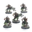 Necrons: Immortals  (49-10)