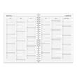 10+2 GRATIS Agenda A4 datata zilnic spirala, 272 pagini, coperta carton si supracoperta PriPlak