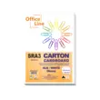 Carton alb SRA3 135 gr LUCIOS 250 coli/top SR3135250G