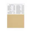 Carton A4 300gr Curious Metallics champagne top.20 coli