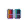 PENAR 3F ECHIPAT ZANA FLORILOR PE3039E