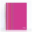 Caiet A4 100 file spira Arc Notte dictando