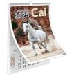 Calendar 2025 Cai, 13 file carton lucios, 32x45 cm