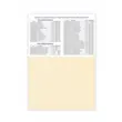 Carton A4 250gr Curious Metallics white gold top.20 coli
