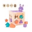 Set educational lemn Rabit Milan 660505