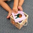 Set educational lemn Rabit Milan 660505