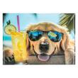 Mapa A4 cu buton  Panta Dog Chillo