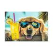 Mapa A5 cu buton Panta Dog Chillo