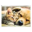 Mapa A4 cu zip Panta Friendship