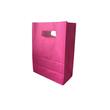 Punga hartie 18 x 25 cm TTE EU