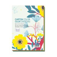 Carton Color A4 160gr Set 250 LIBRA CC160250