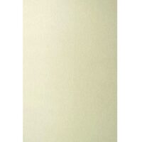 Carton A4 GP Top 20 coli 220g Iceland ivory - 200602
