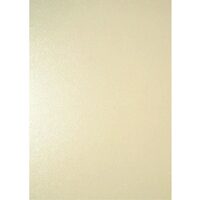Carton A4 GP Top 20 coli 220 g MILLENIUM ALB 200703
