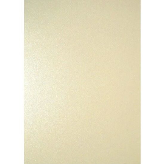Carton A4 GP Top 20 coli 220 g MILLENIUM ALB 200703