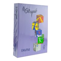 Carton color 160g/mp A4 mov - 220