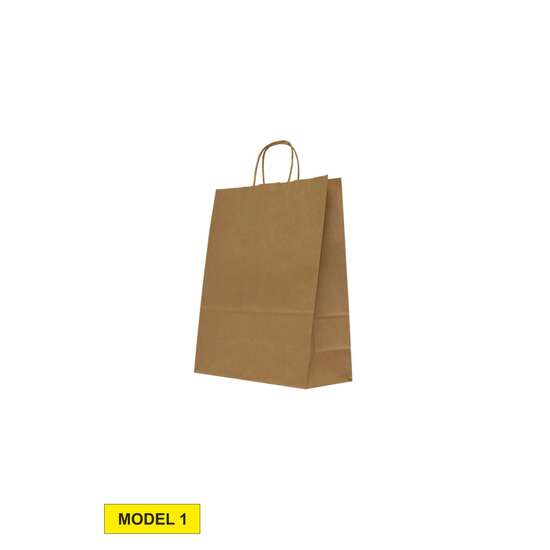 Punga hartie 25 x 31 cm TTE EU