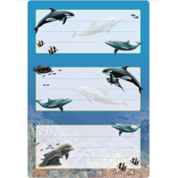 Stiker HERMA 5579 