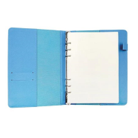 Agenda nedatata organizer 130x205 mm albastru DACO AN515A