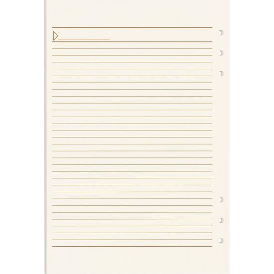 Rezerva organizer A4 dictando Precision 100302
