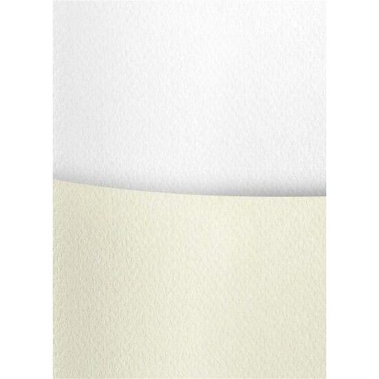 Carton 200g/mp 20 coli/top ivory Savannah - 204802