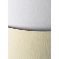 Carton 230g/mp 20 coli/top Kamien ivory - 201302