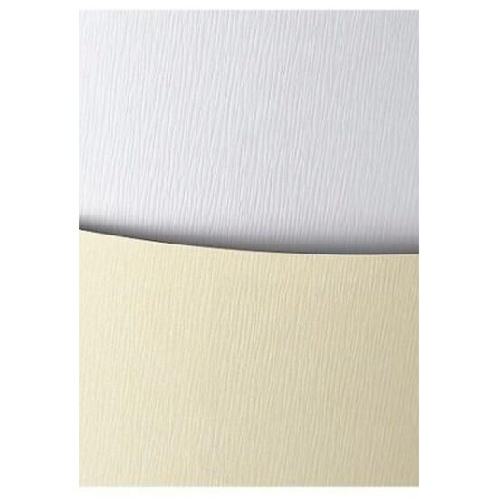 Carton 230g/mp 20 coli/top Kora ivory - 201502