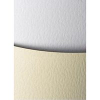 Carton 230g/mp 20 coli/top Kamien alb - 201301