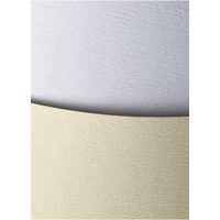 Carton 230g/mp 20 coli/top Atlanta ivory - 203202
