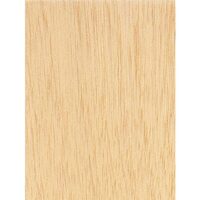 Placaj traforaj 30X20 cm