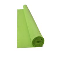 Hartie creponata elastica floristica 90gr - Parakeet Green by Kate Alarcon-353