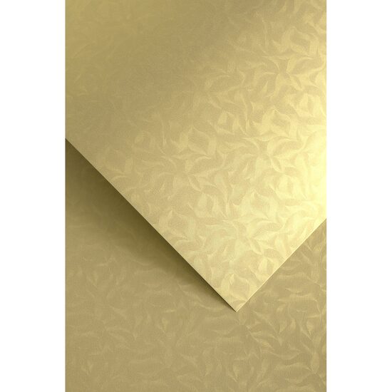 Carton GP top.20 220g Olympia auriu-203406