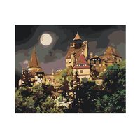Pictura pe numere 40x50 Castelul Bran 2997
