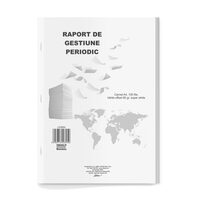 Raport de gestiune periodic offset - L03950
