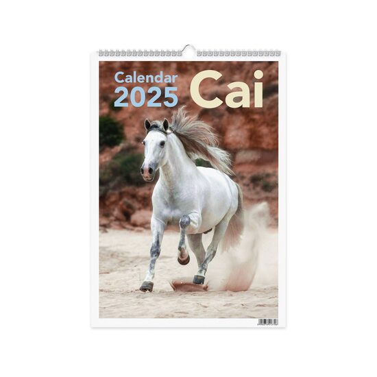 Calendar 2025 Cai, 13 file carton lucios, 22x32 cm