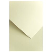 Carton top.20 220g Florida ivory - 200302