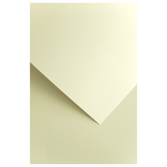 Carton top.20 220g Florida ivory - 200302
