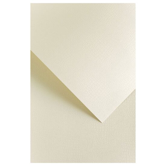 Carton top.20 220g Borneo ivory - 200202