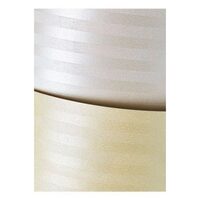 Carton top.20 220G Bali ivory - 200102