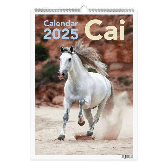 Calendar 2025 Cai, 13 file carton lucios, 32x45 cm