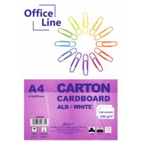 Carton A4 alb 250 gr top 100 coli 4250100