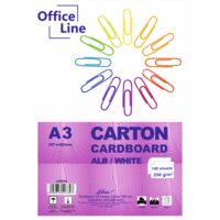 Carton A3 alb 250 gr top 100 coli 3250100