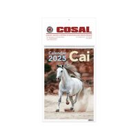 Calendar de perete 2025 Cai 22x32 cm PERSONALIZAT