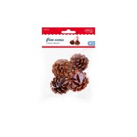 Accesorii craft - AD754 Conuri de pin DACO