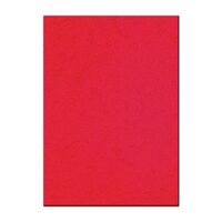 Coperta A4 spate carton rosu Forpus top 100